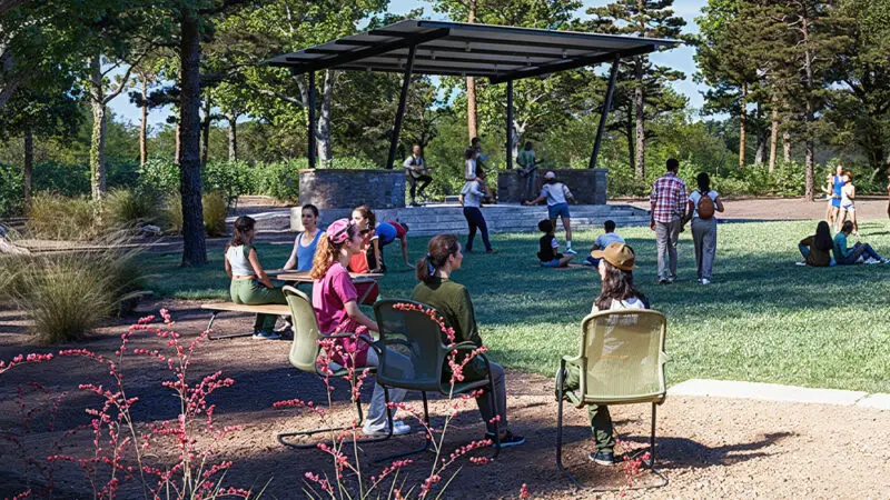 render of lawn and picnic area and tables